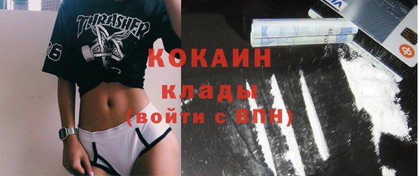 мет Елабуга