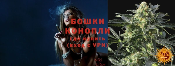 тгк Дмитров