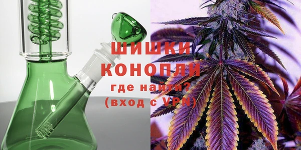 гидра Ельня