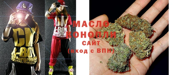 гидра Ельня
