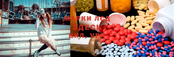 тгк Дмитров
