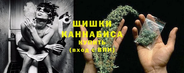 гидра Ельня