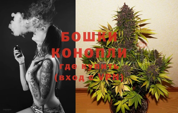 тгк Дмитров